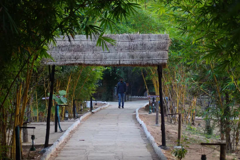 Mogli Resort Kanha